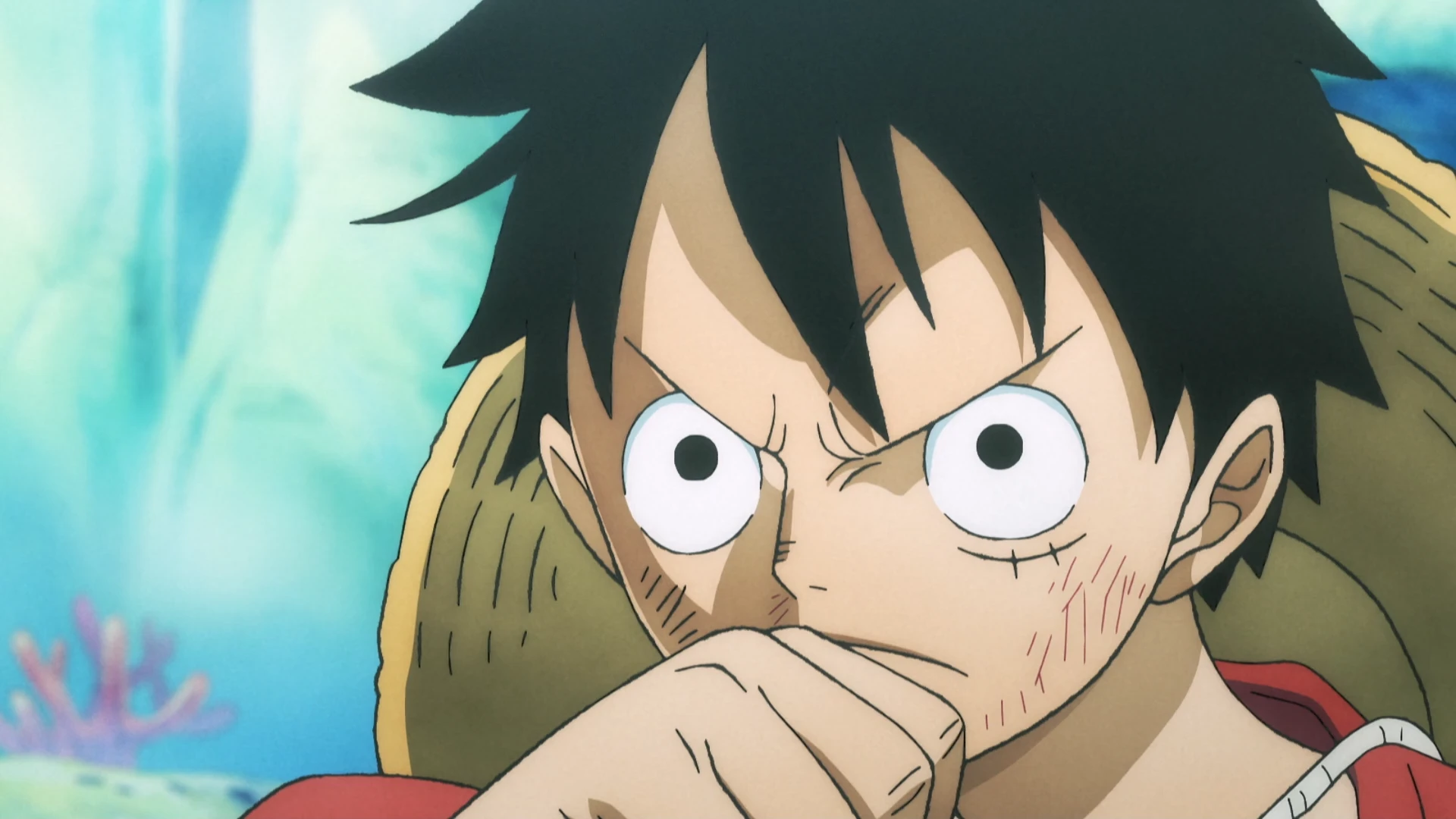 海贼王 鱼人岛篇特别编辑版 第15话