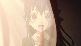 citrus OP