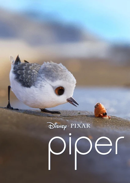 Piper