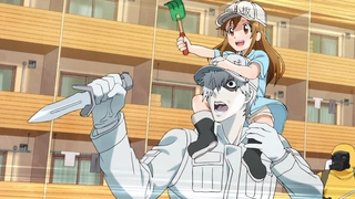 Hataraku Saibou - OP