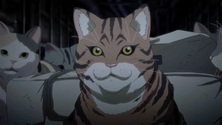 活屍貓之夜 預告PV