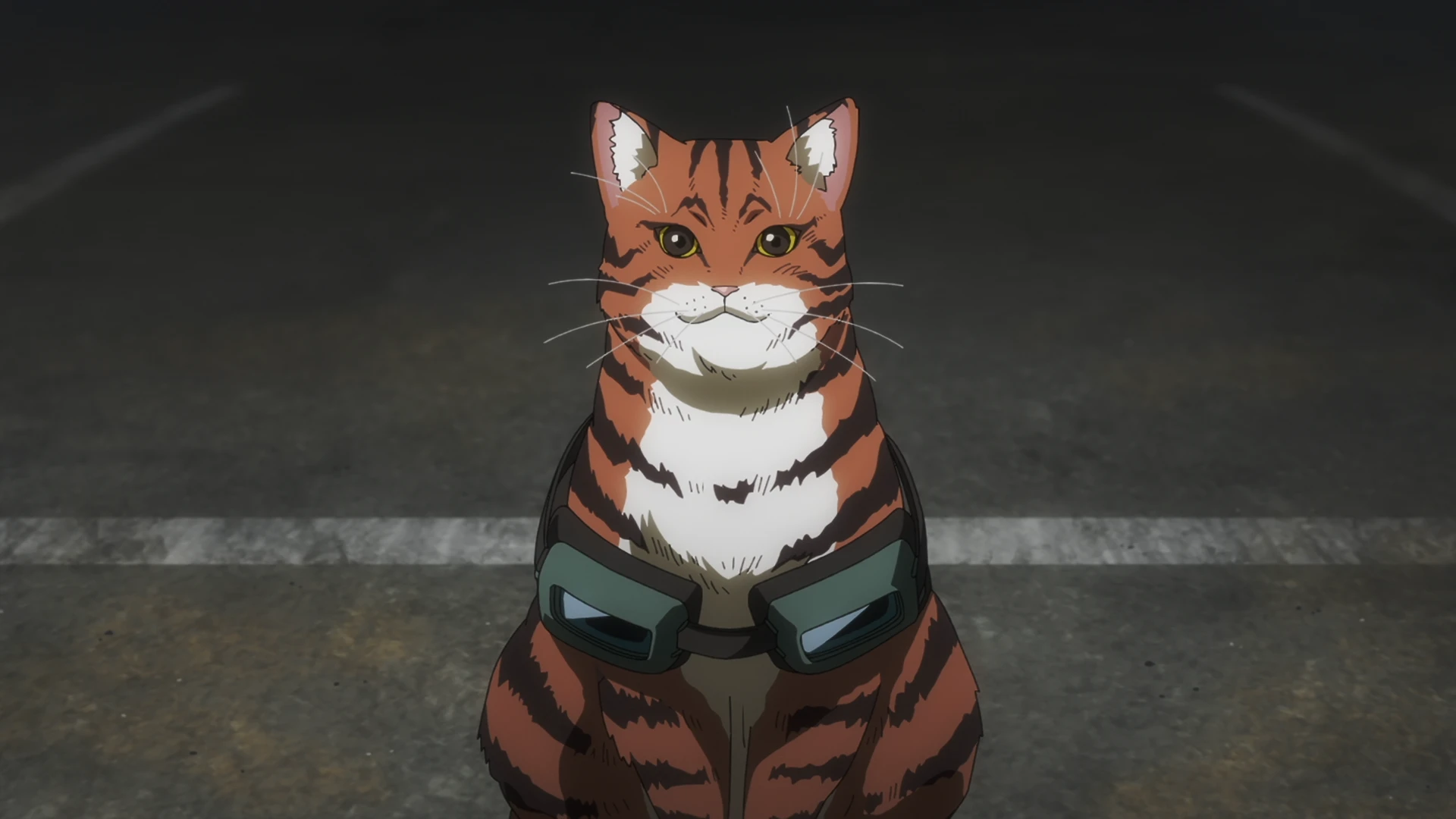 活死喵之夜 第1话