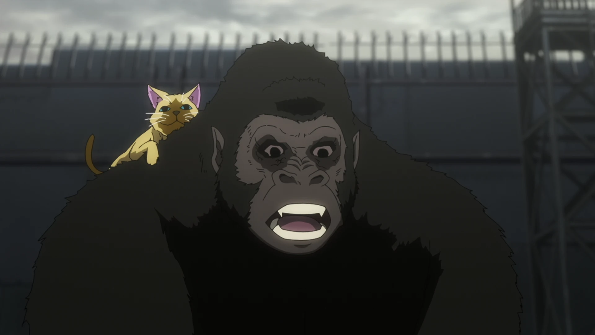 活死喵之夜 第11话