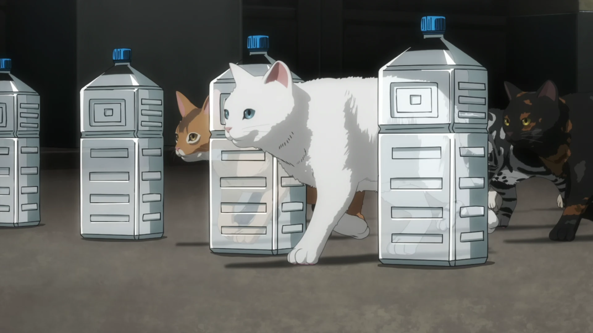 活死喵之夜 第2话