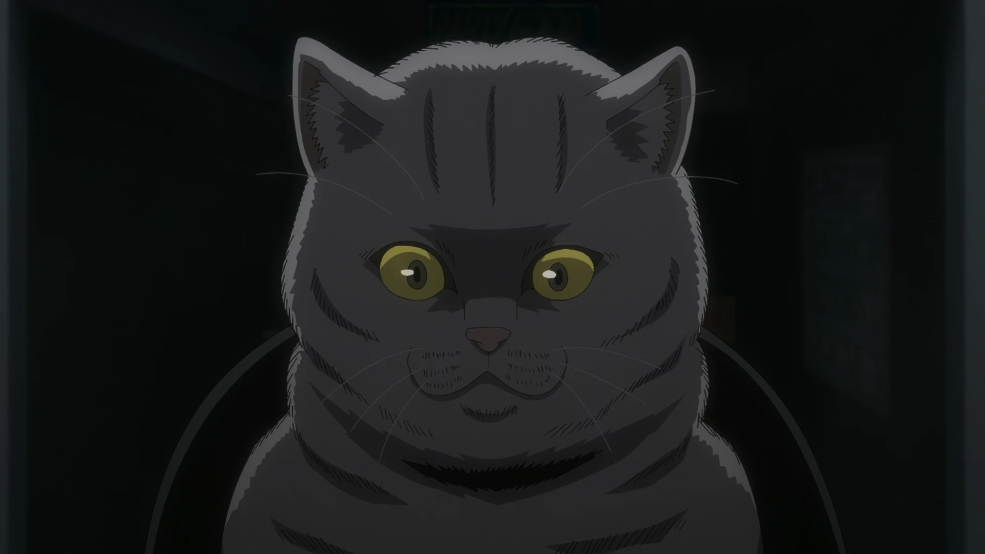 活死喵之夜 第6话