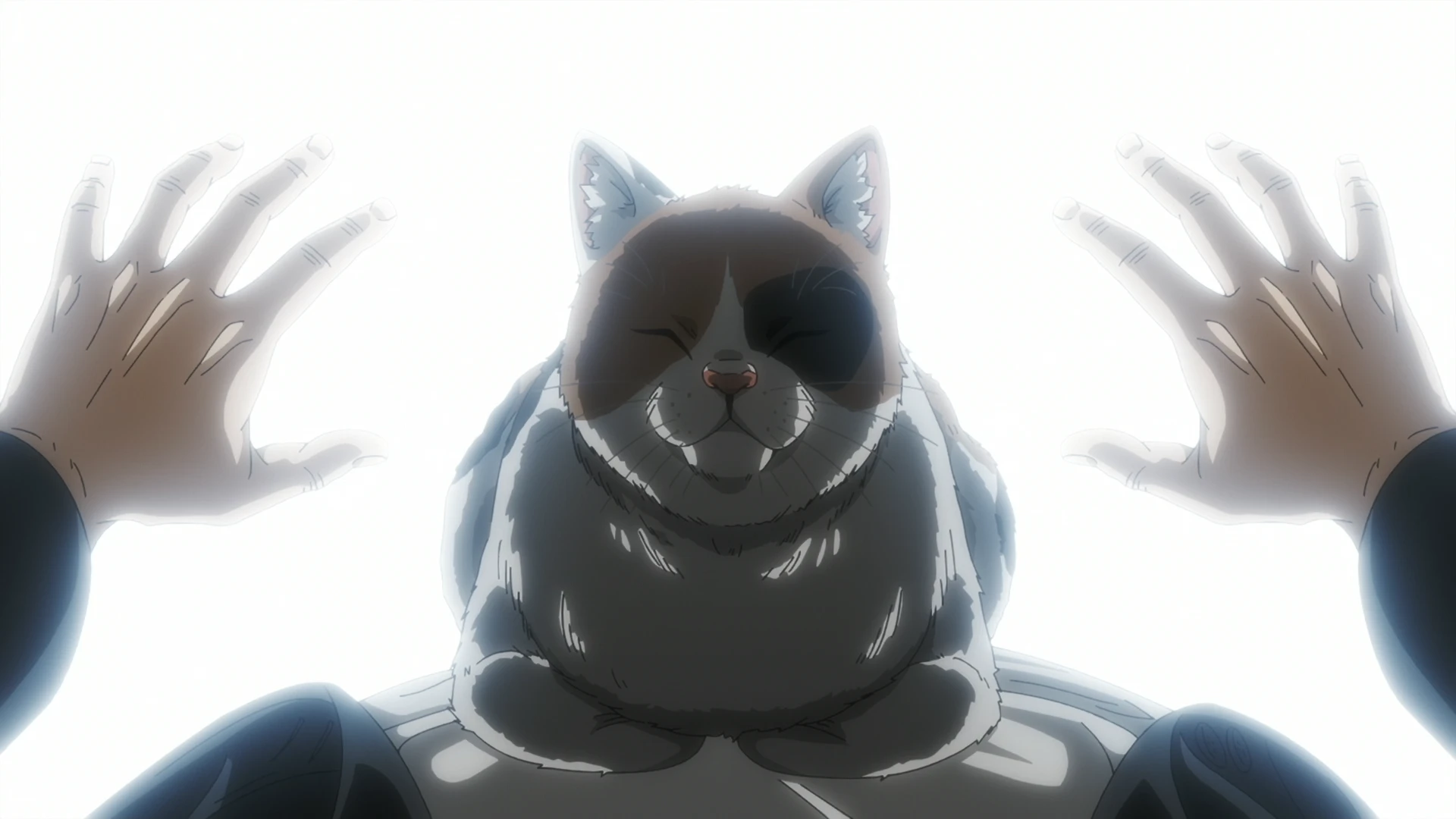 活死喵之夜 第12话