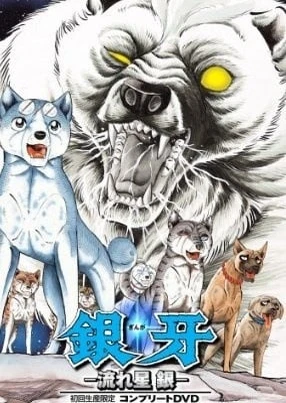 Ginga Nagareboshi Gin