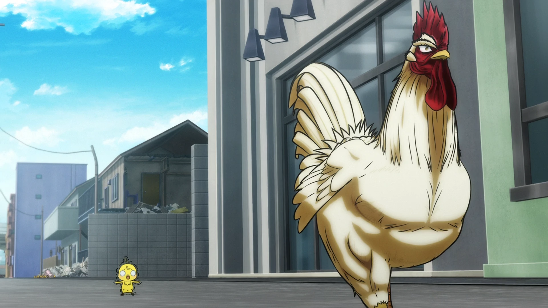 公鸡斗士 第2话