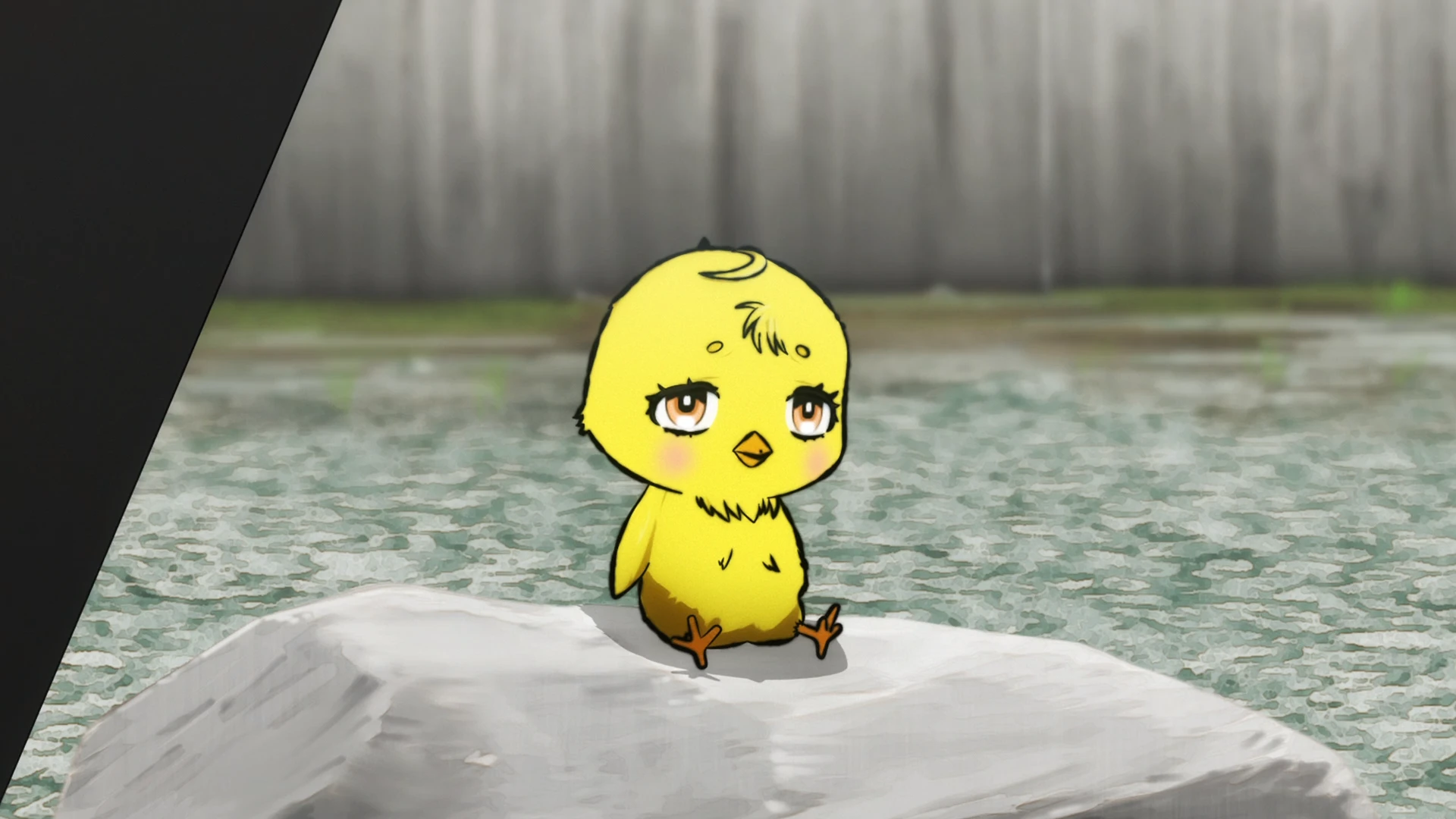 公鸡斗士 第3话