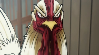 Niwatori Fighter - EP1