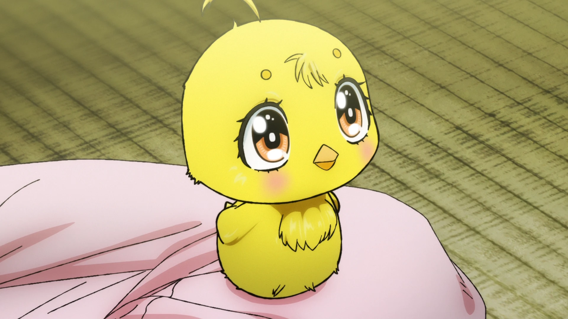 公鸡斗士 第2话