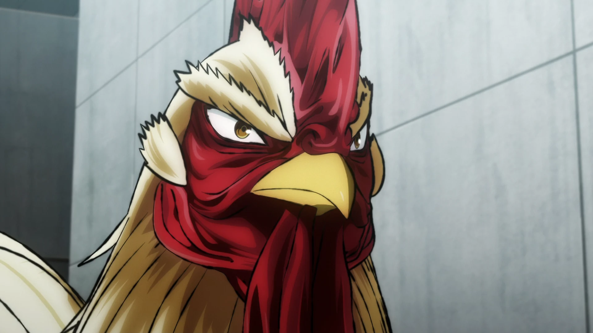 公鸡斗士 第2话