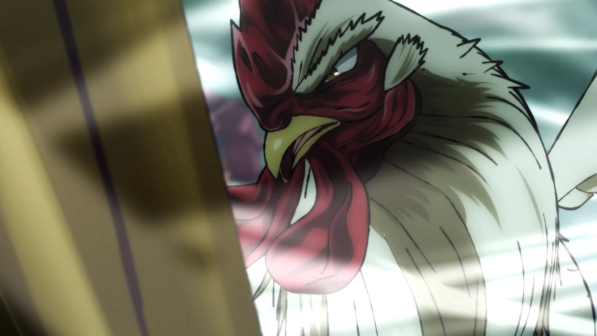 公鸡斗士 官方PV2