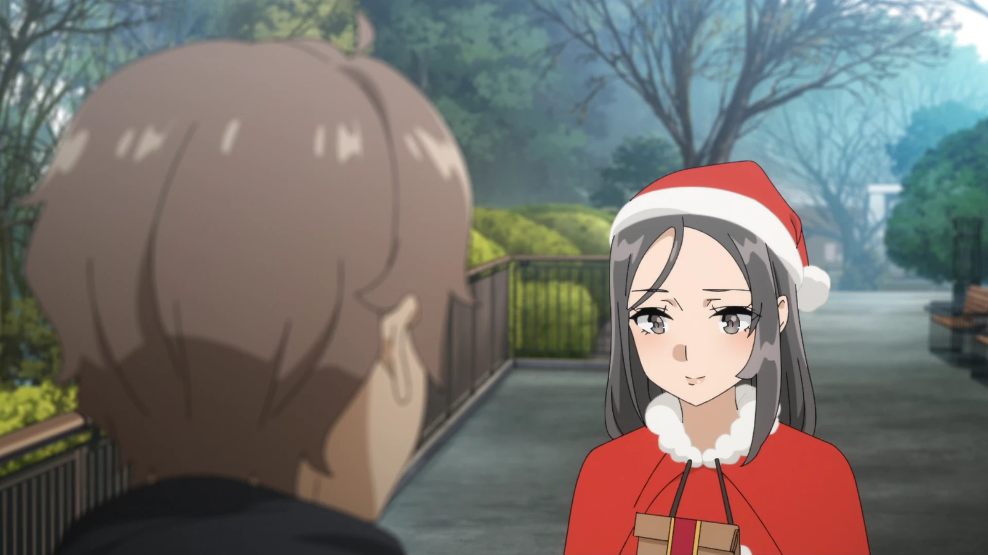 青春笨蛋少年不做圣诞服女郎的梦 第12话