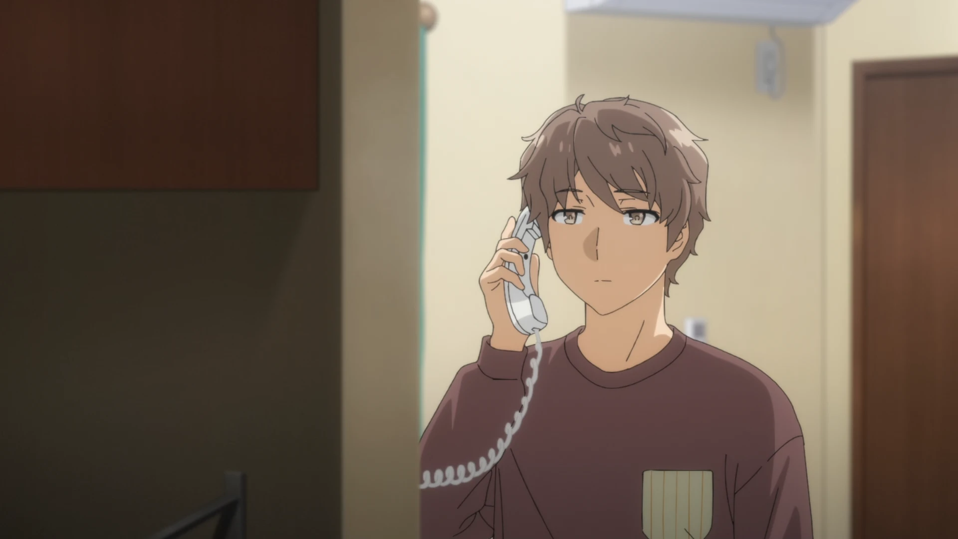 青春笨蛋少年不做圣诞服女郎的梦 第9话