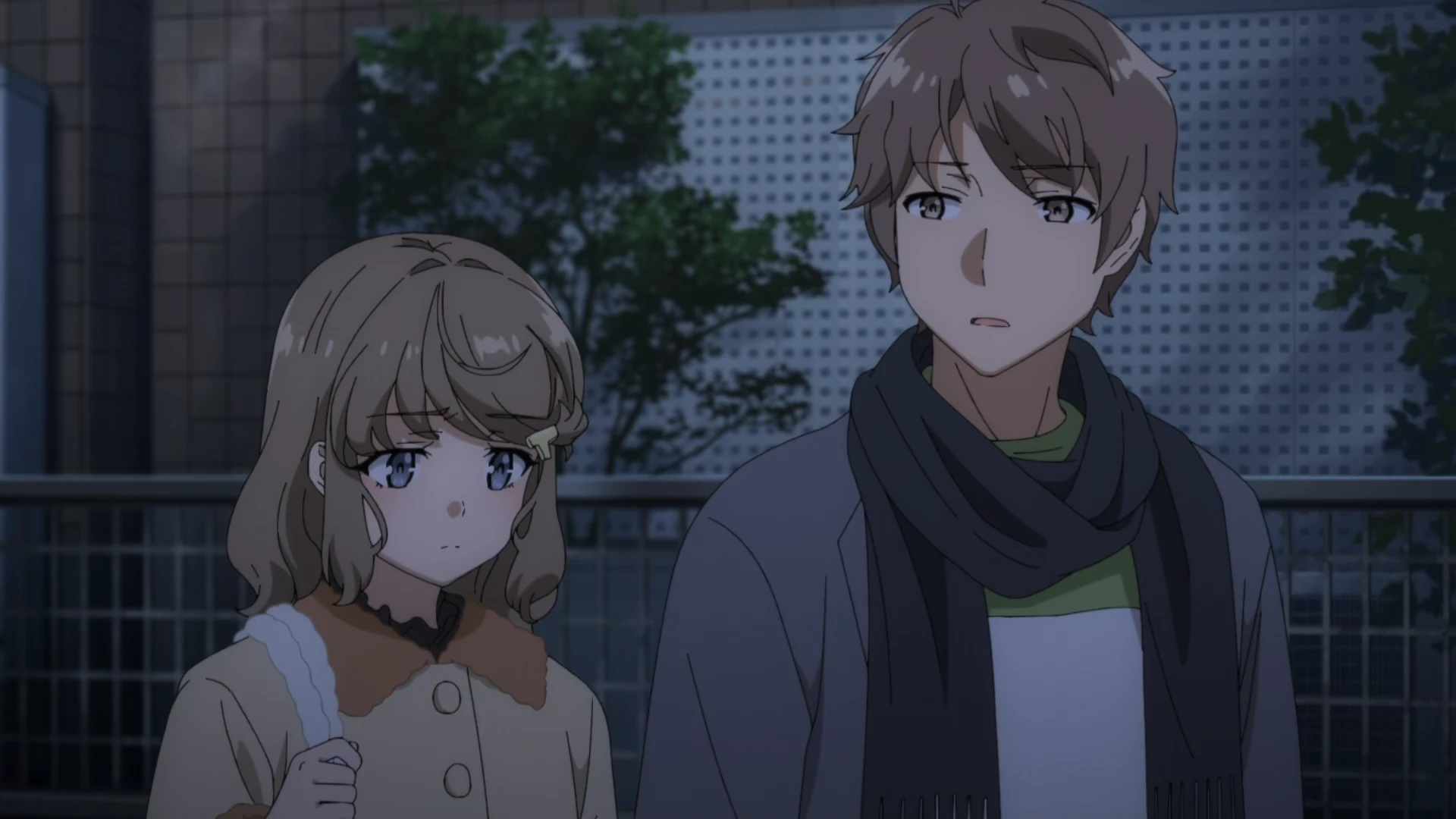 青春笨蛋少年不做圣诞服女郎的梦 第11话