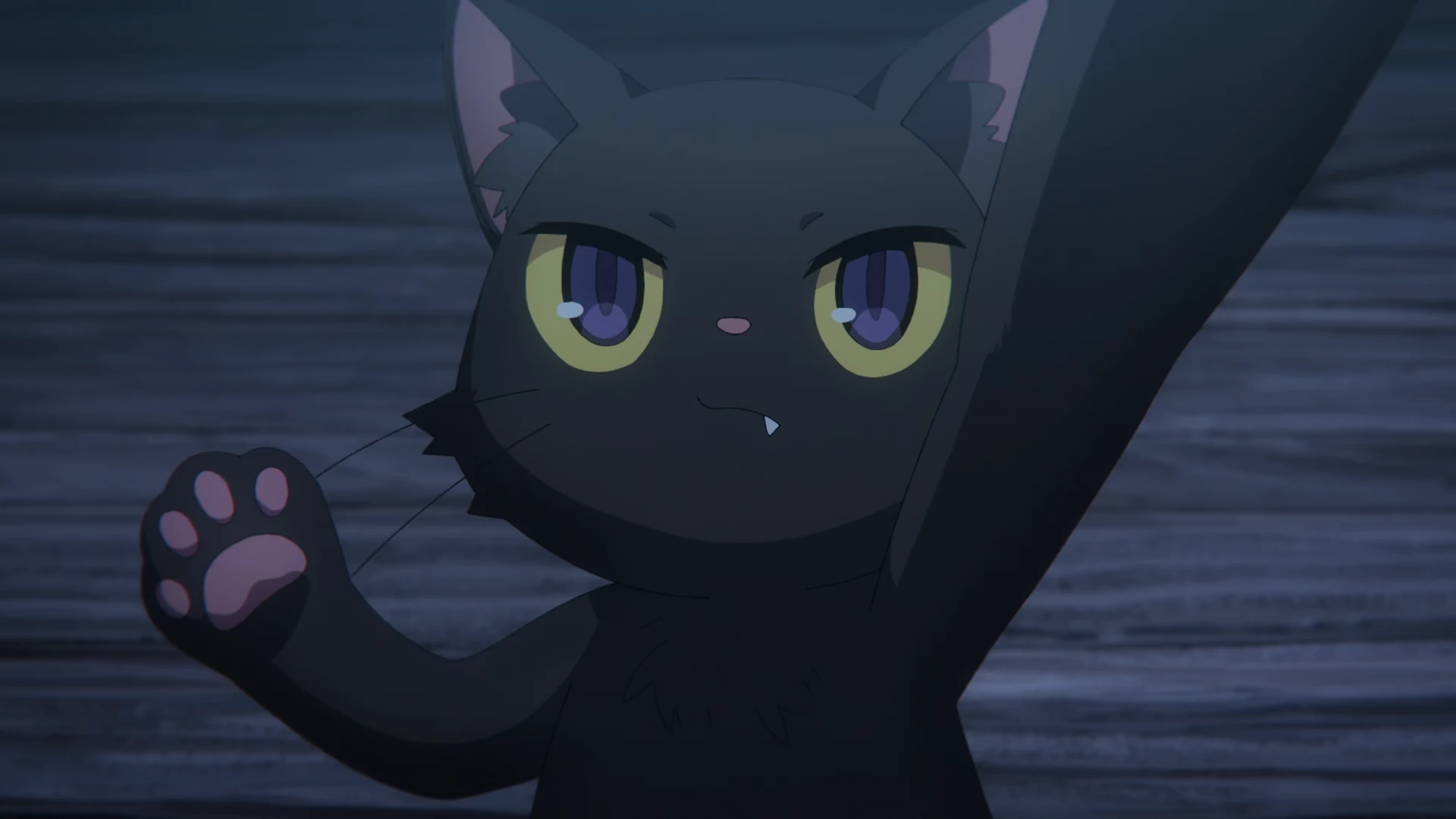 Silent Witch 沉默魔女的秘密 第1话