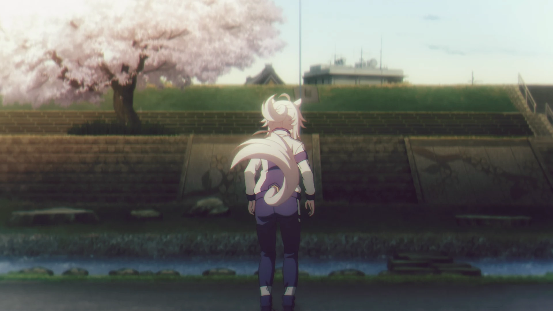 赛马娘 芦毛灰姑娘 第1话