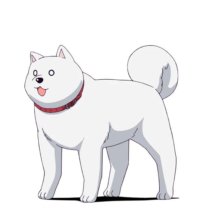 犬