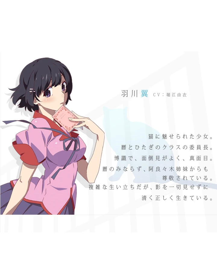 Tsubasa Hanekawa