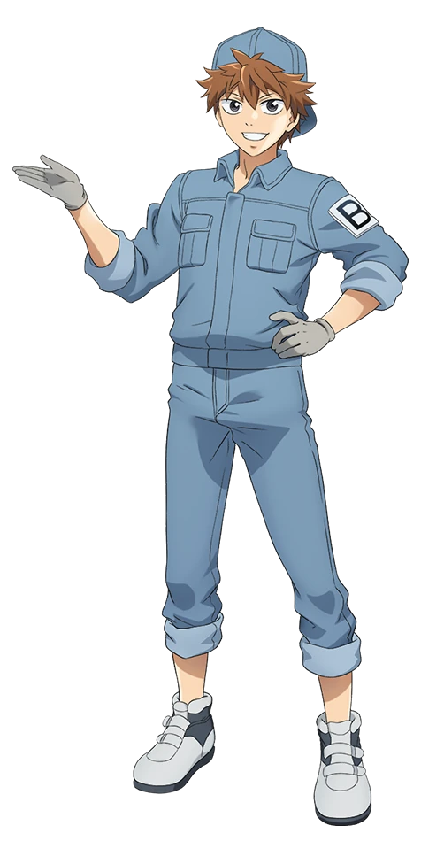 B Saibou