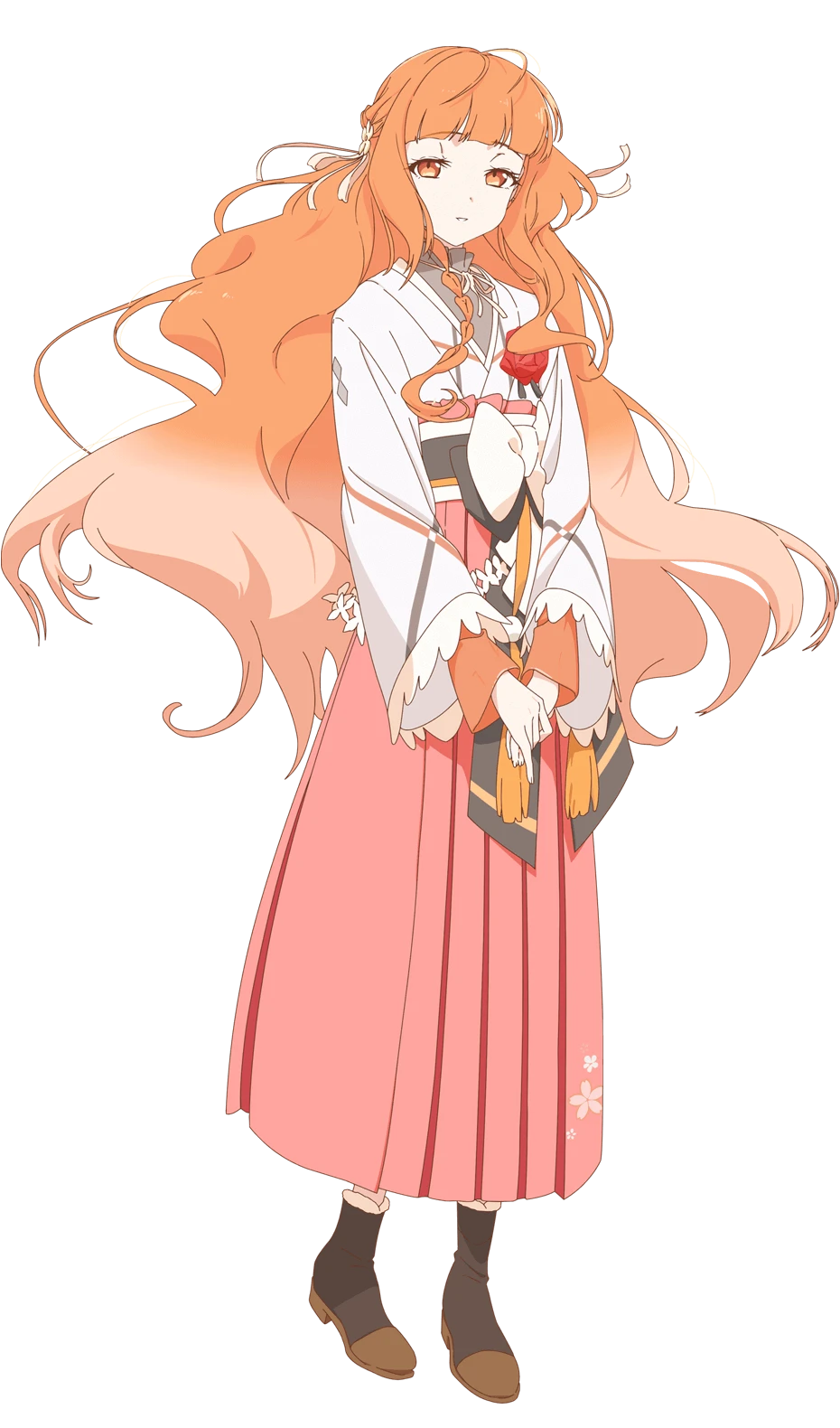 花葉雛菊